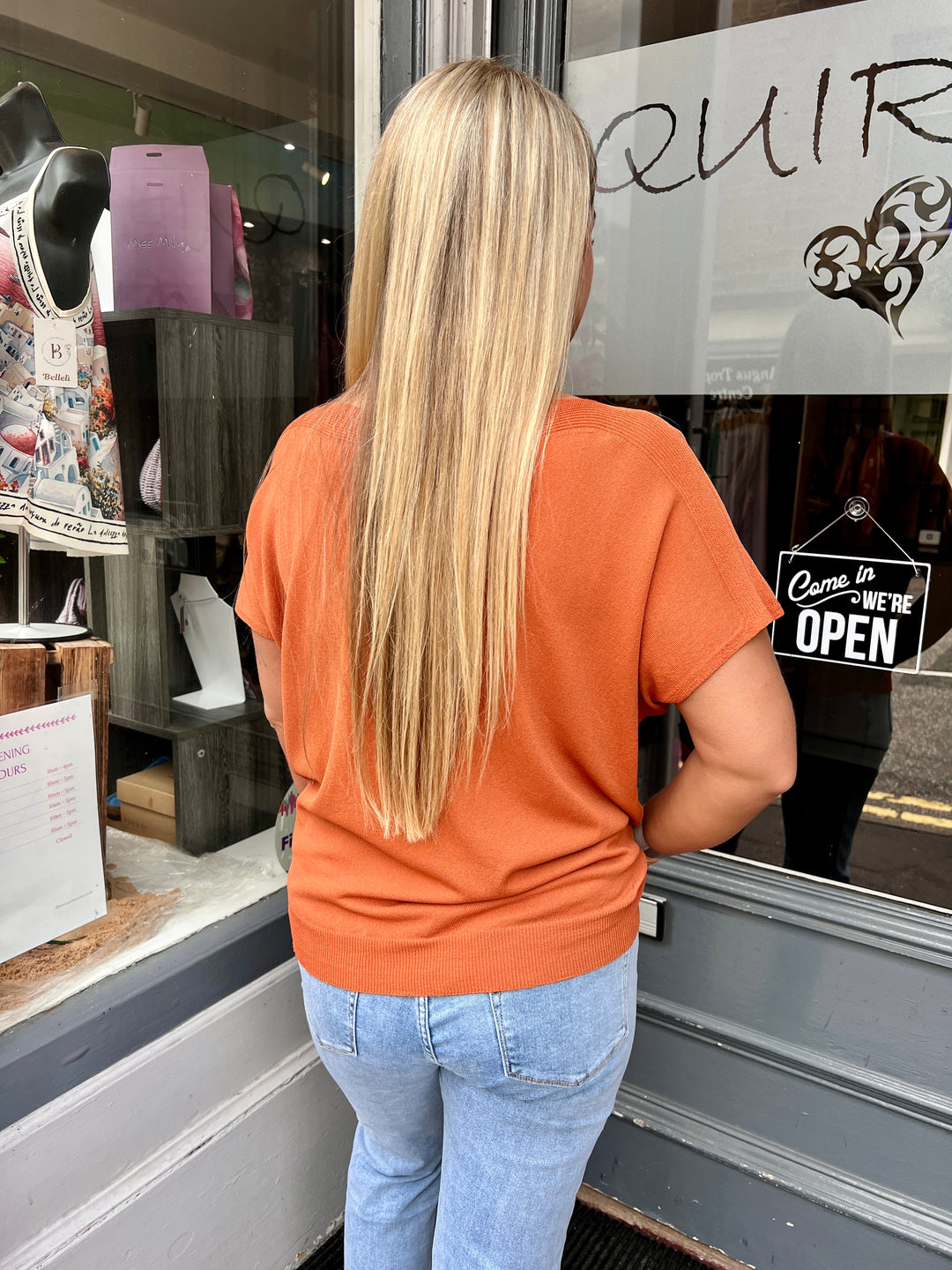 Jenna Fine Knit Short Sleeve Top RUST