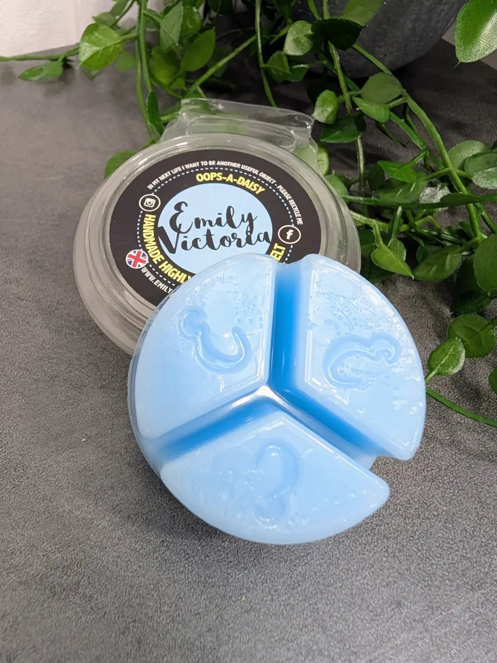 Wax Melts OOPS A DAISY