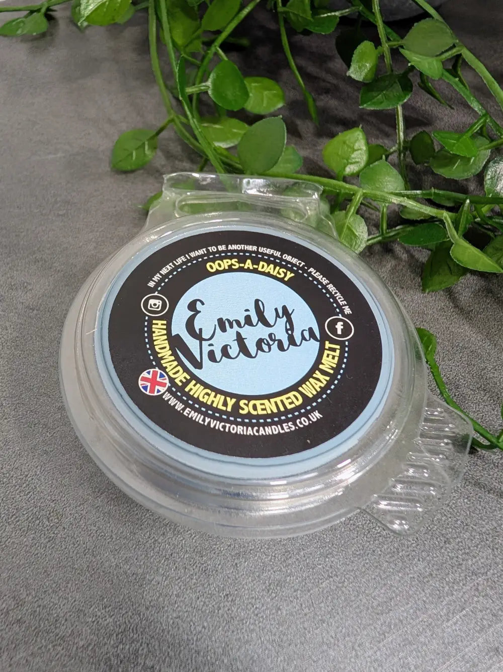 Wax Melts OOPS A DAISY